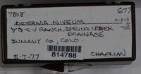 Image Associated With the Occurence